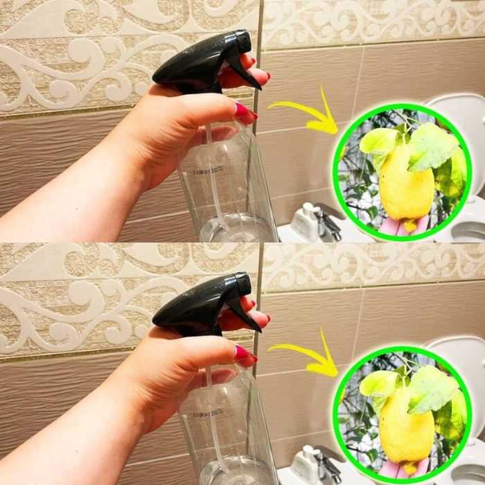 How to perfume the bathroom with the orange peel trick