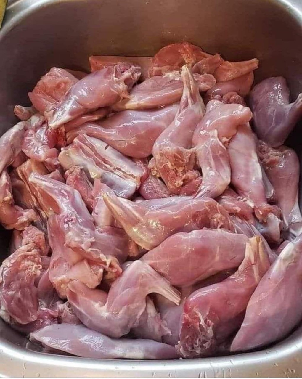 Braised Rabbit Legs