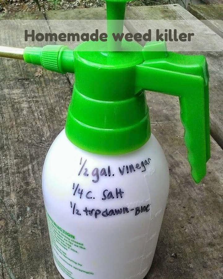 Homemade weed killer
