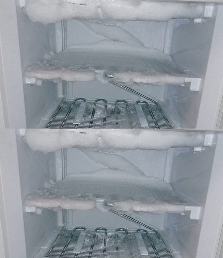 Freezer, how long should I thaw him? You can do it in just 20 minutes