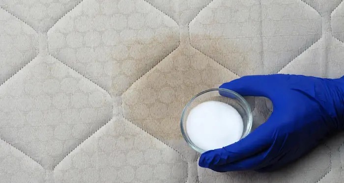 How to Clean a Dirty Toilet and Remove Urine Smell from Couch, Mattress and Bathroom