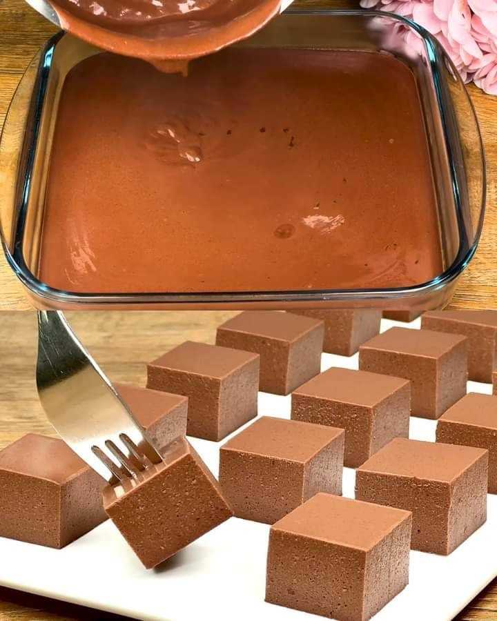 Silky Dark Chocolate Pudding with Agar Agar