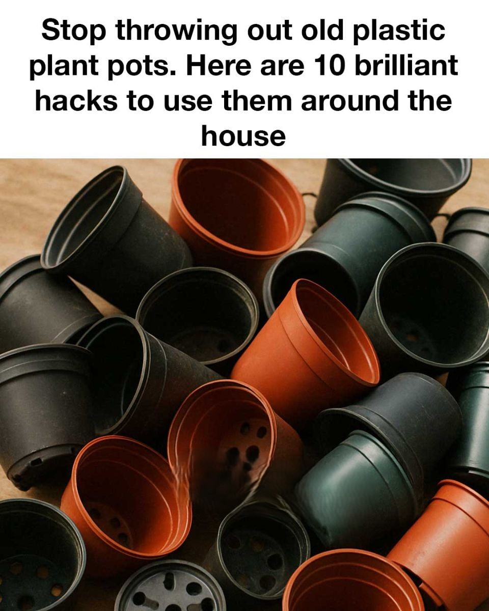 Stop throwing out old plastic plant pots. Here are 10 brilliant hacks to use them around the house