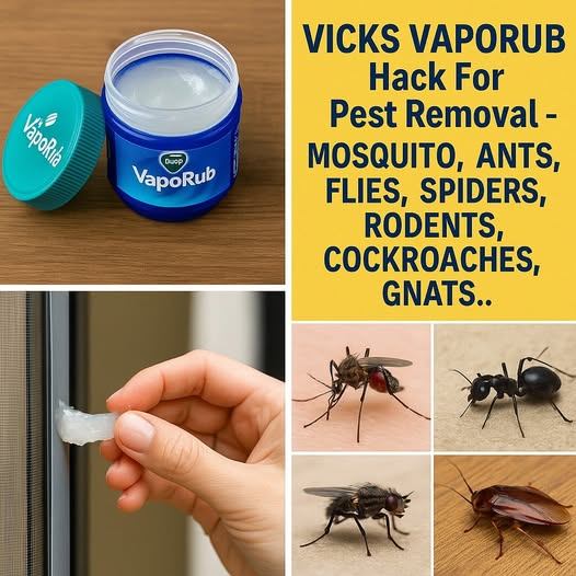 Vicks VapoRub: The Surprising Pest Repellent Hack!