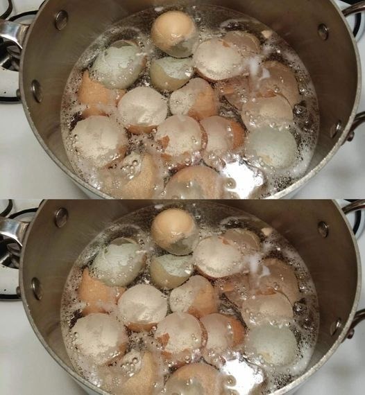 Eggshells may be boiled in a pot to save a lot of money