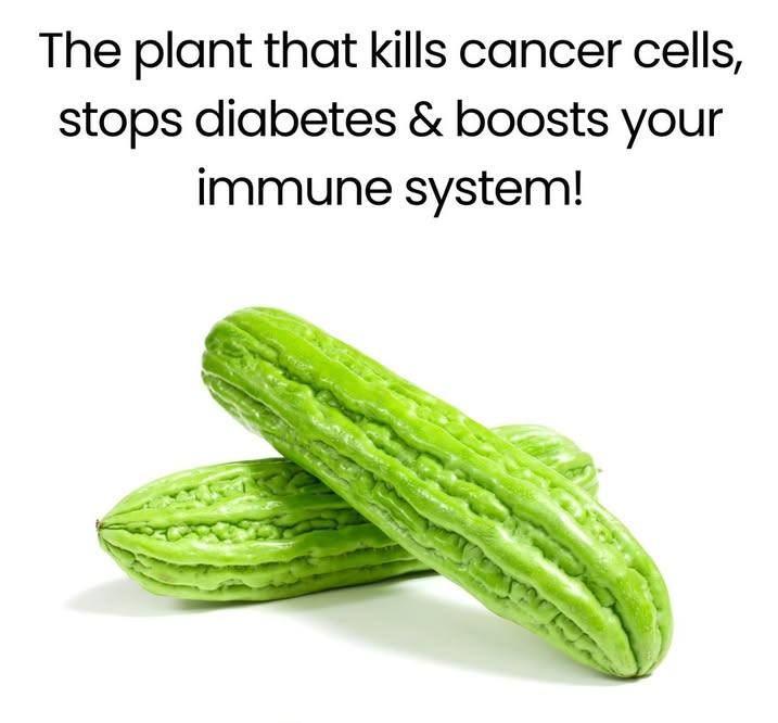 The Plant That Kills Cancer Cells, Stops Diabetes And Boosts Your Immune System!