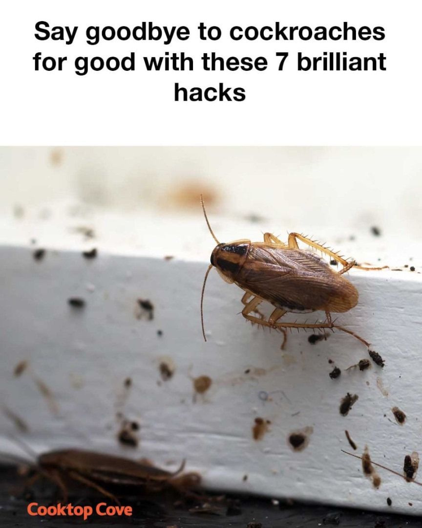 Yes, yes, yes! Totally was in the dark about this until now