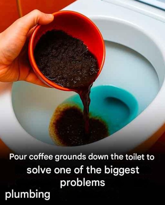 Used Coffee Grounds: An Unexpected Ally for Sparkling Toilets