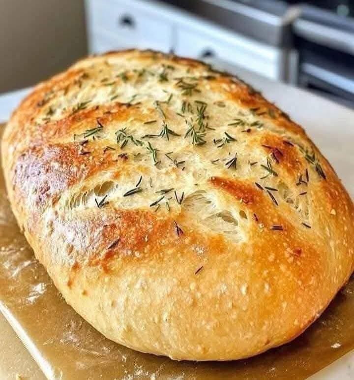 The bread that drives everyone crazy, the no-knead garlic bread that still works!