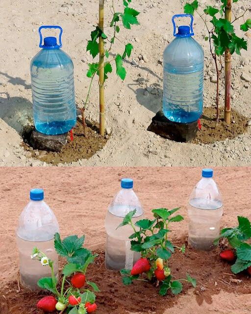 Methods for Free Plant Watering for a Month
