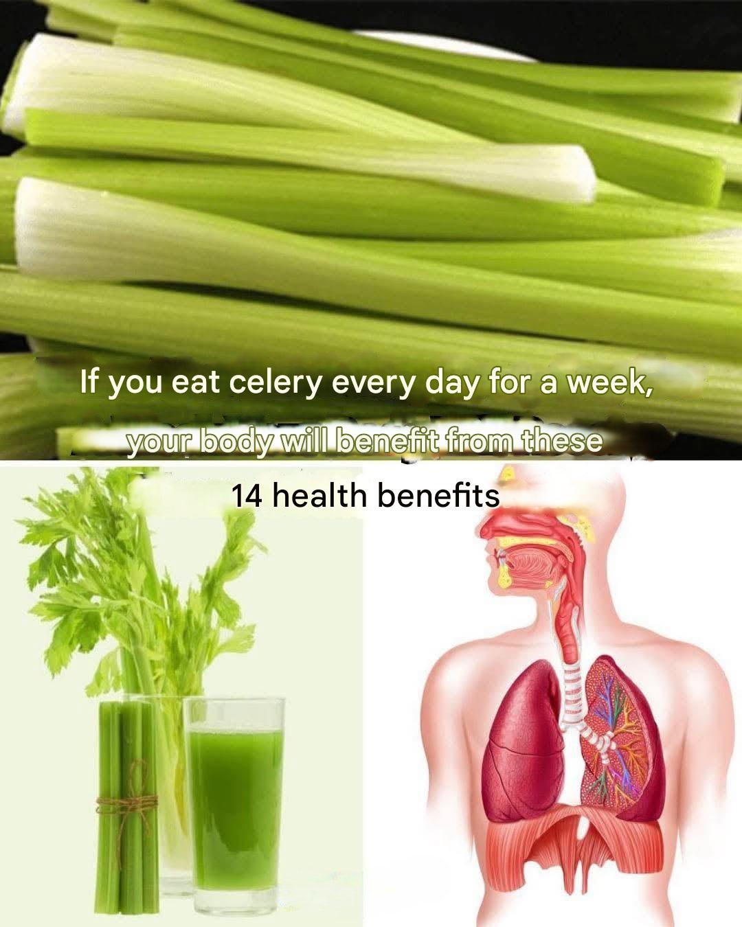 If you eat celery every day for a week, your body can benefit from these 14 health benefits