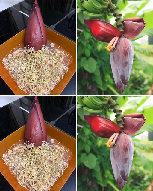 Banana Blossom Remedies: Natural Treatment for Diabetes, Stomach Issues, and High Blood Pressure