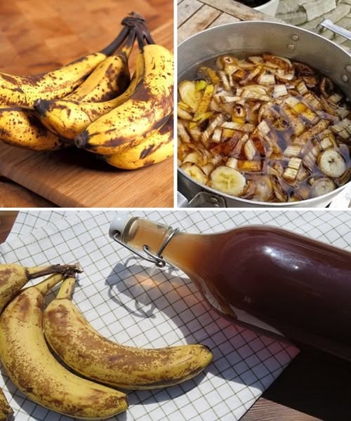 Banana peels: Place them in a bottle. If you use them like this you will never throw them away again