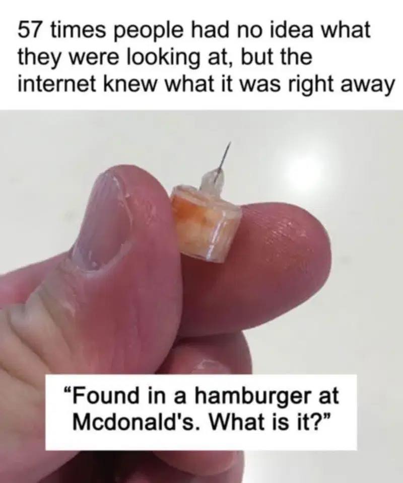 57 Times People Were Stumped by What They Saw—But the Internet Identified It Instantly