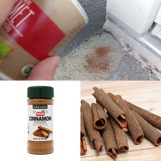 The Enchanting Benefits of Sprinkling Cinnamon Behind Your Door